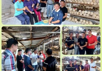 20221015 Agro Edu Trip Series (Trip 2- Dragon Fruit)