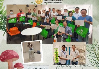 20231007 鲍鱼菇种植培训 Mushroom Workshop