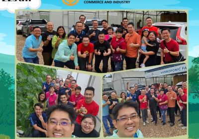 20240622 参观蜜瓜农场